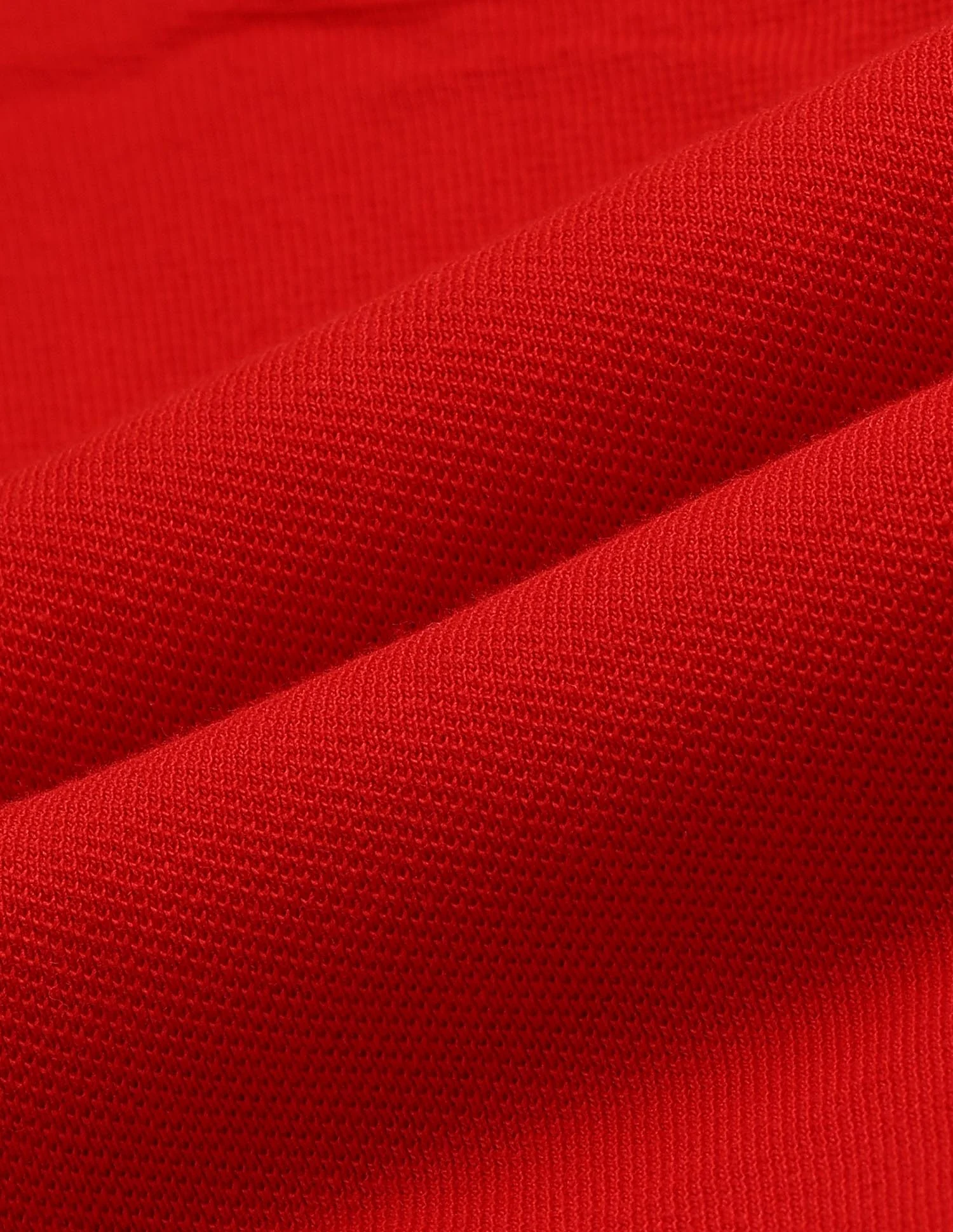 Relaxed Fit Solid Polo Shirt - Image 2