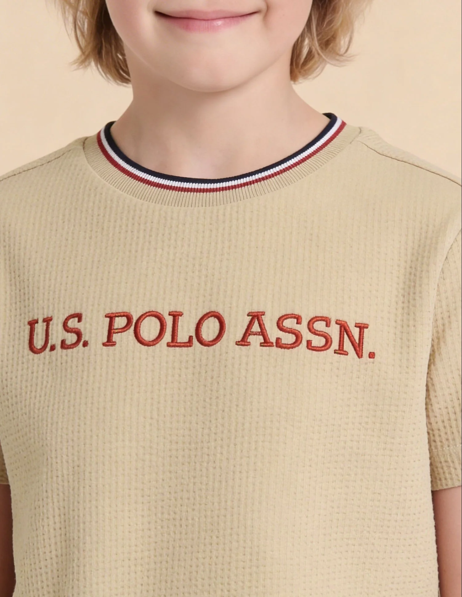 Textured With Brand Embroidered Regular Fit T-Shirt - Image 6