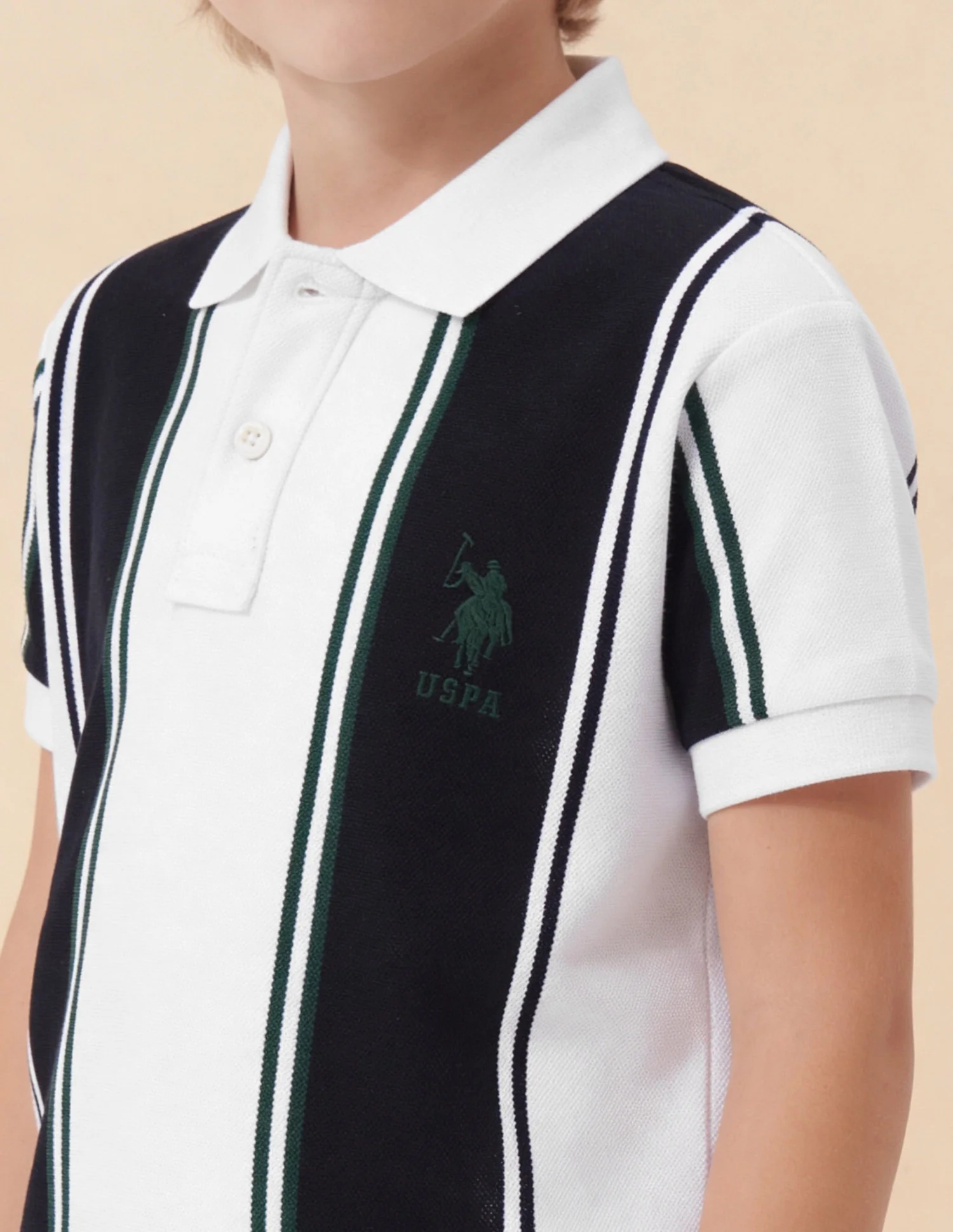 Vertical Striped Colorblocked Regular Fit Polo Shirt - Image 6