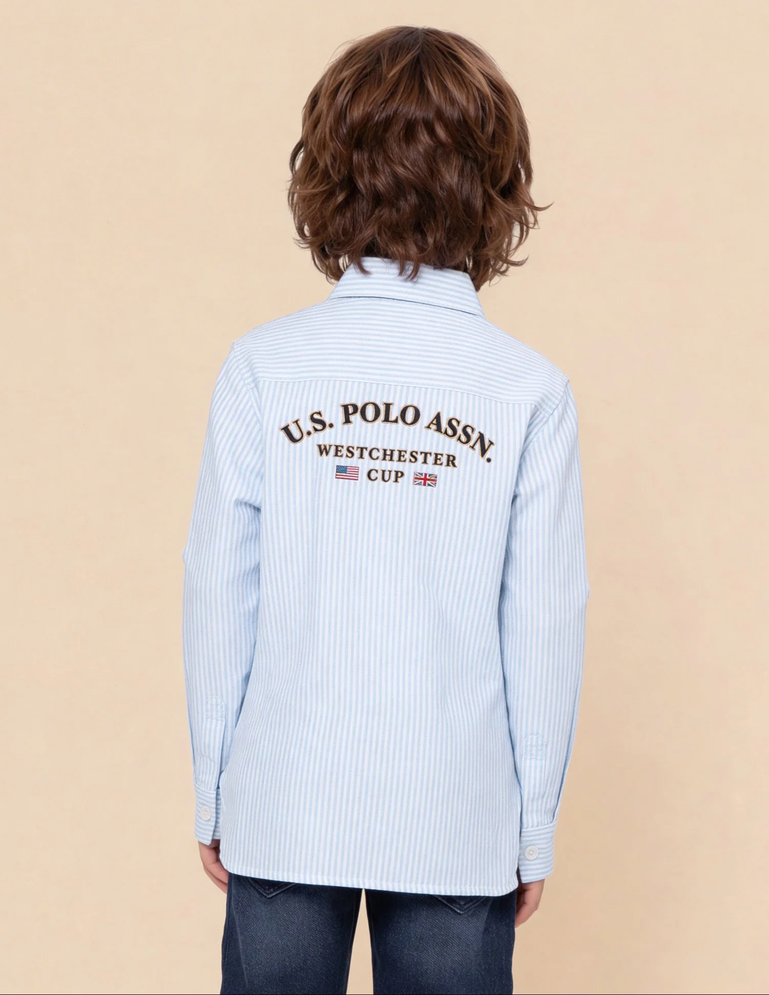 Vertical Striped Oxford Shirt - Image 5
