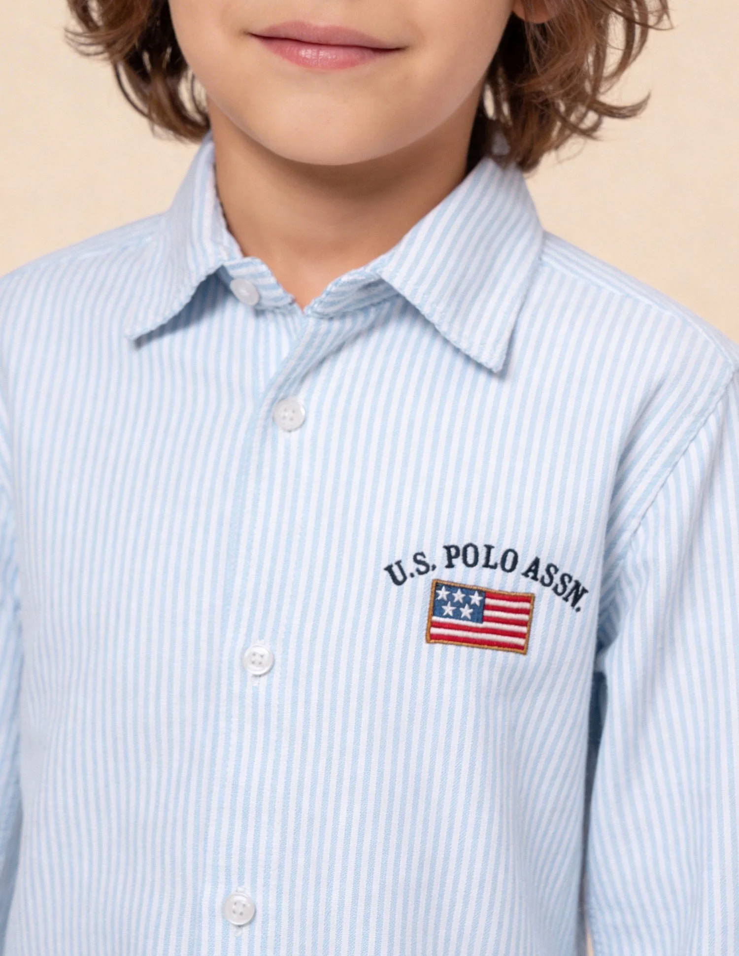 Vertical Striped Oxford Shirt - Image 6