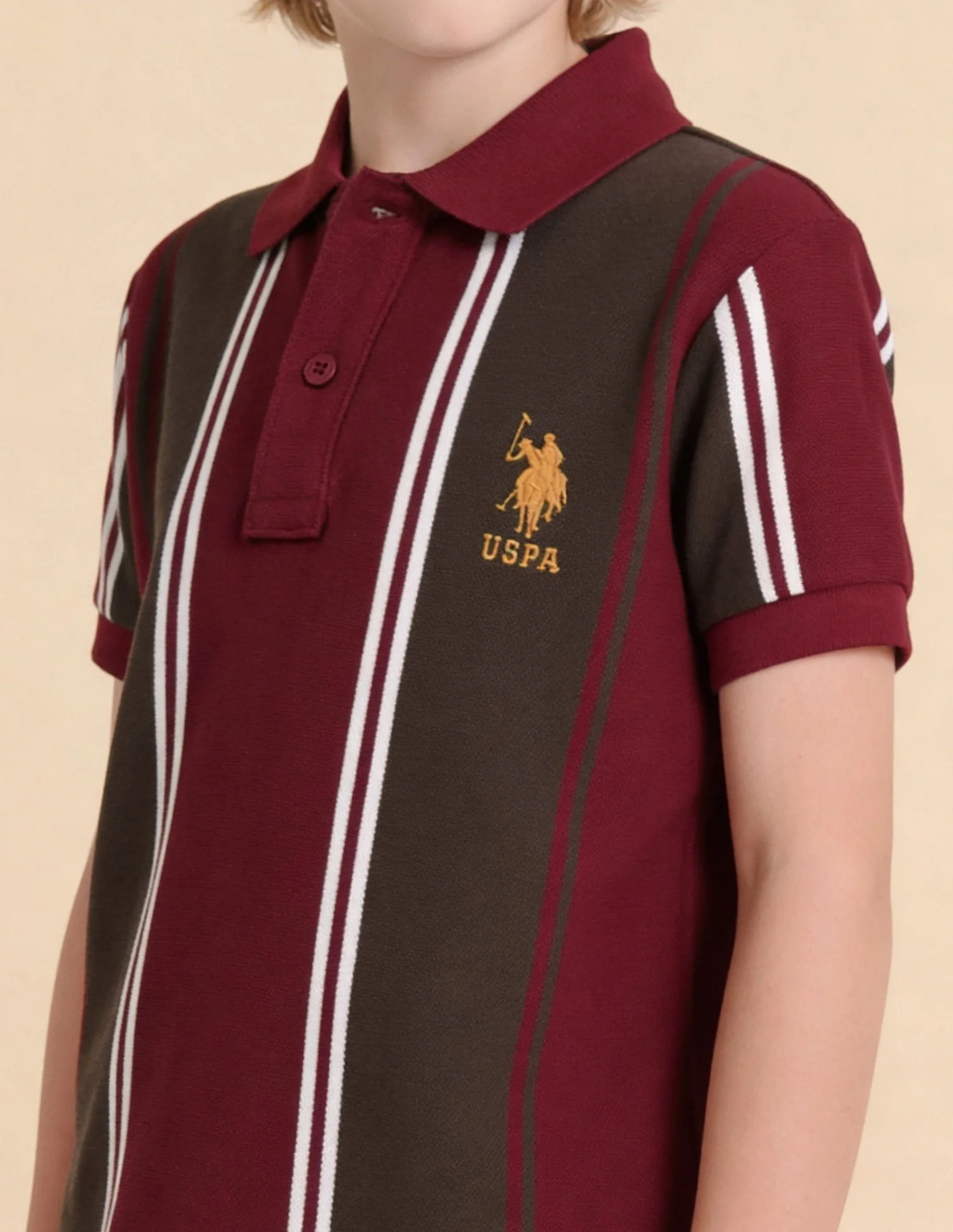 Vertical Striped Regular Fit Polo Shirt - Image 6