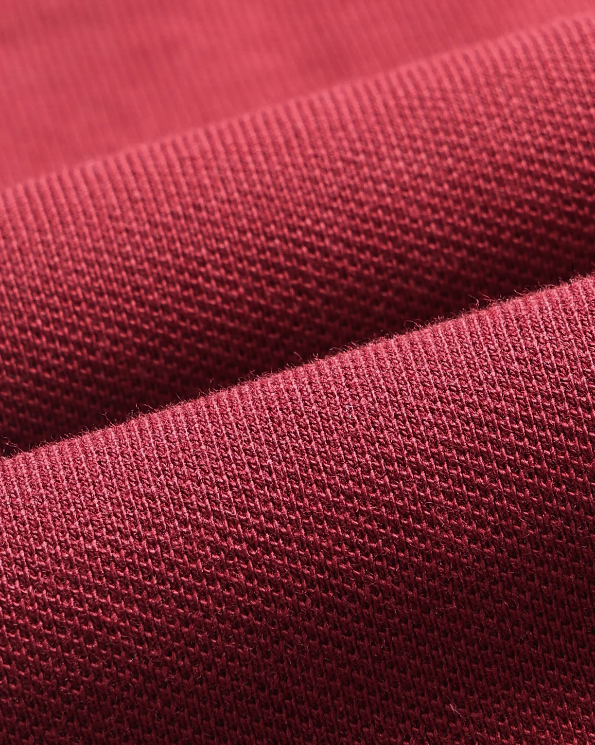 Brand Embroidered Regular Fit Polo Shirt - Image 2