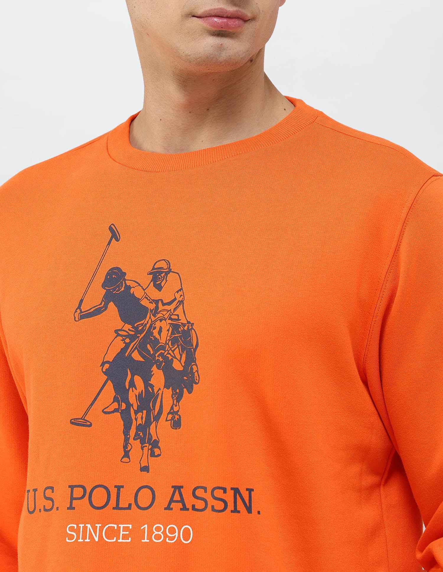 Brand Printed Regular Fit Sweatshirt - Image 7