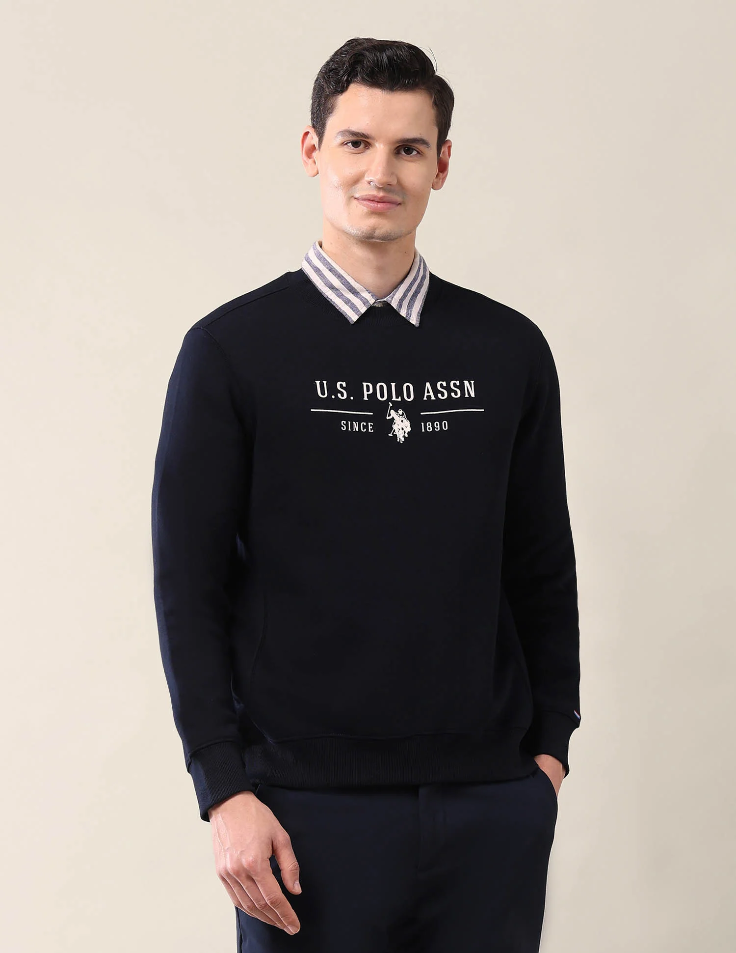 Brand Printed Regular Fit Sweatshirt