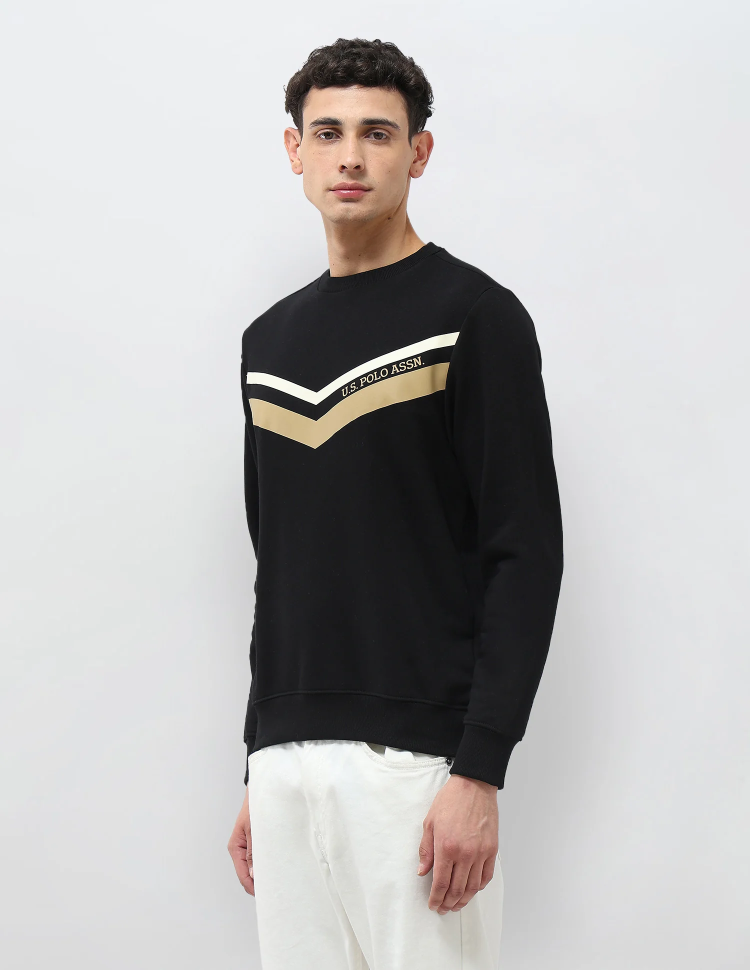 Chevron Printed Regular Fit Sweatshirt - Image 4