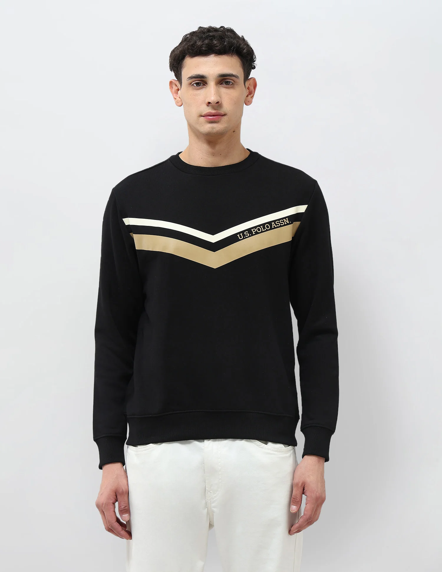 Chevron Printed Regular Fit Sweatshirt - Image 6