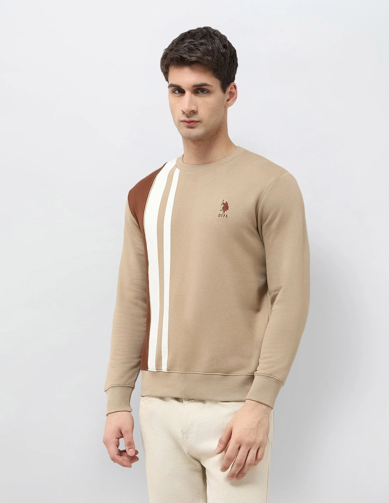 Colorblocked Regular Fit Sweatshirt - Image 4