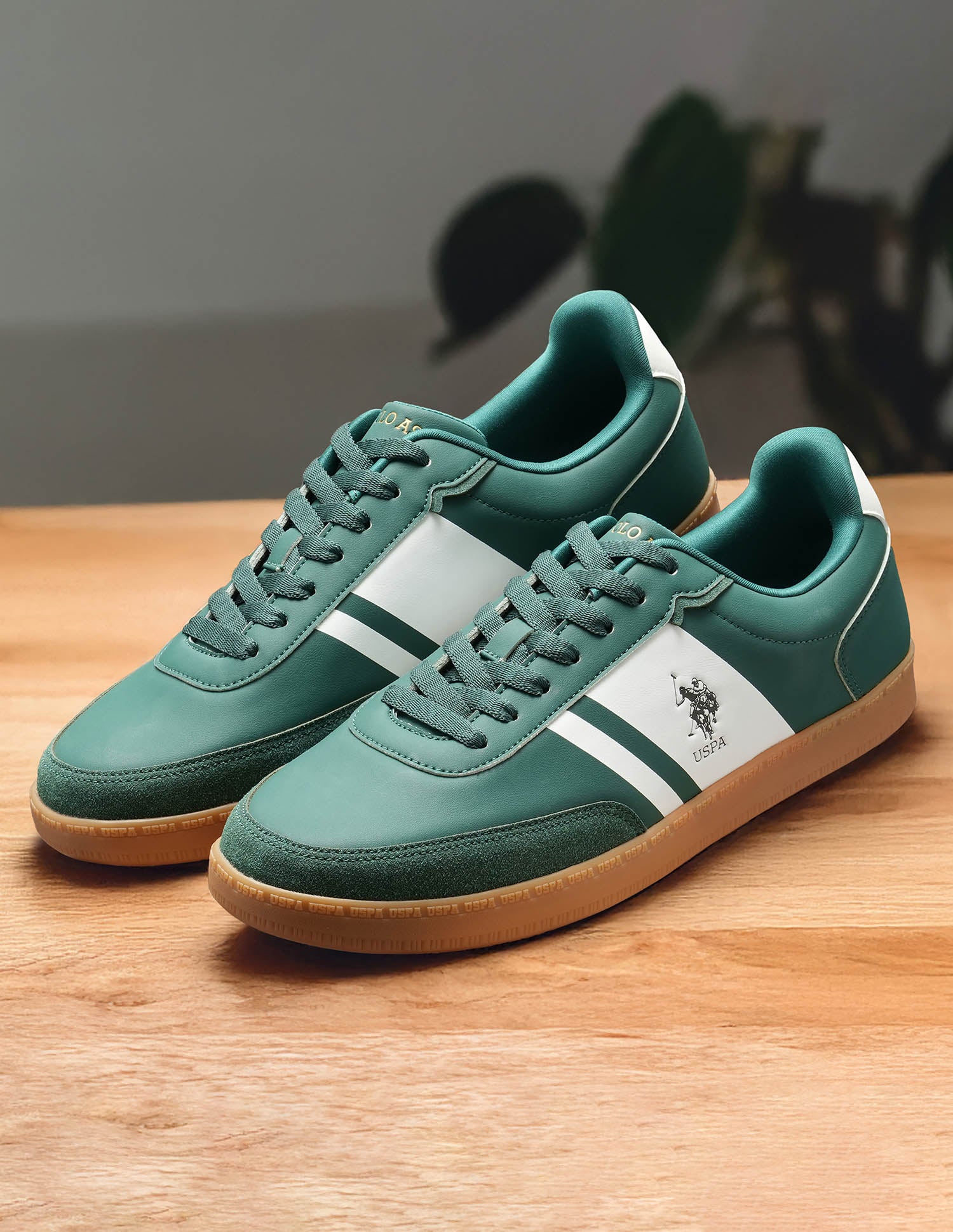 Men Hilton Colourblocked Sneakers