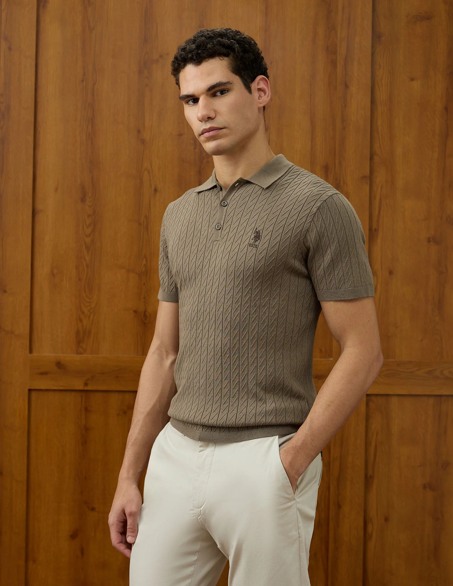 Patterned Knit Equestrian Aisle Theater Polo Shirt - Image 4