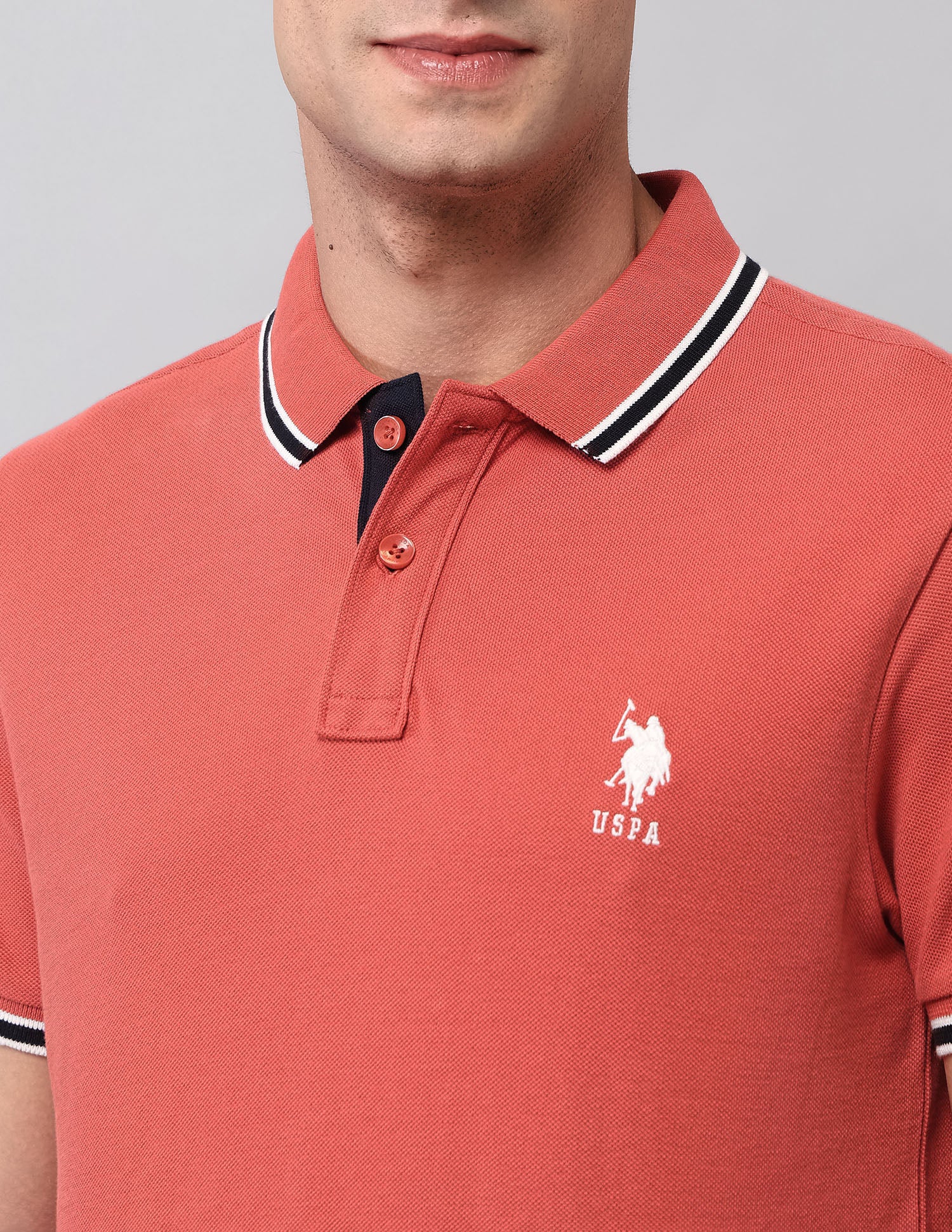 Pure Cotton Solid Polo Shirt - Image 7