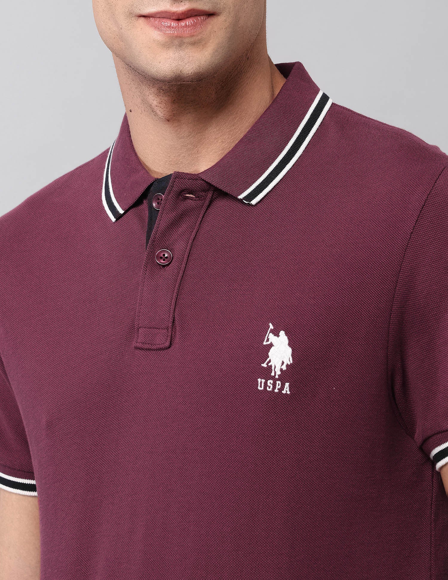 Pure Cotton Solid Polo Shirt - Image 7