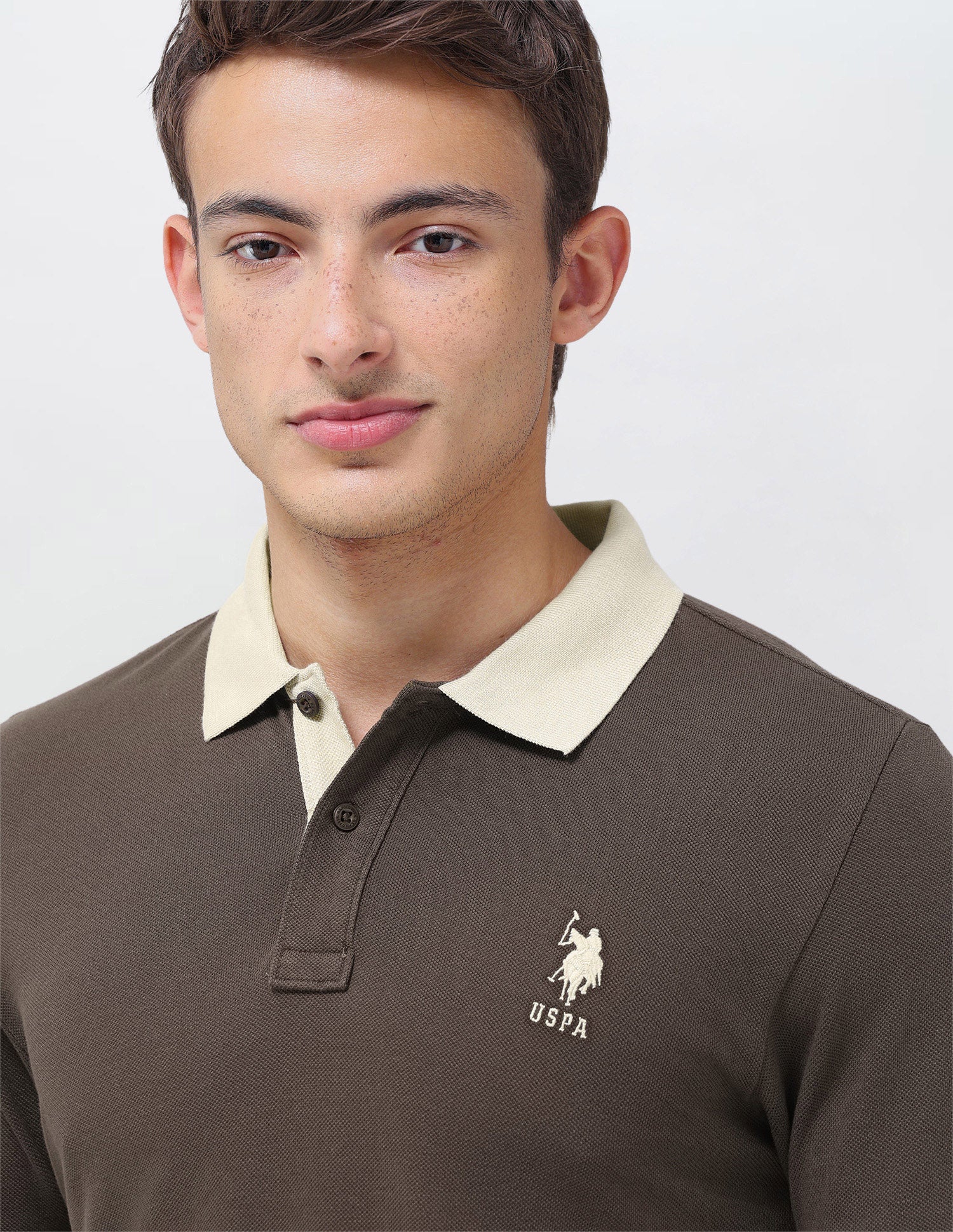 Solid Regular Fit Polo Shirt - Image 7