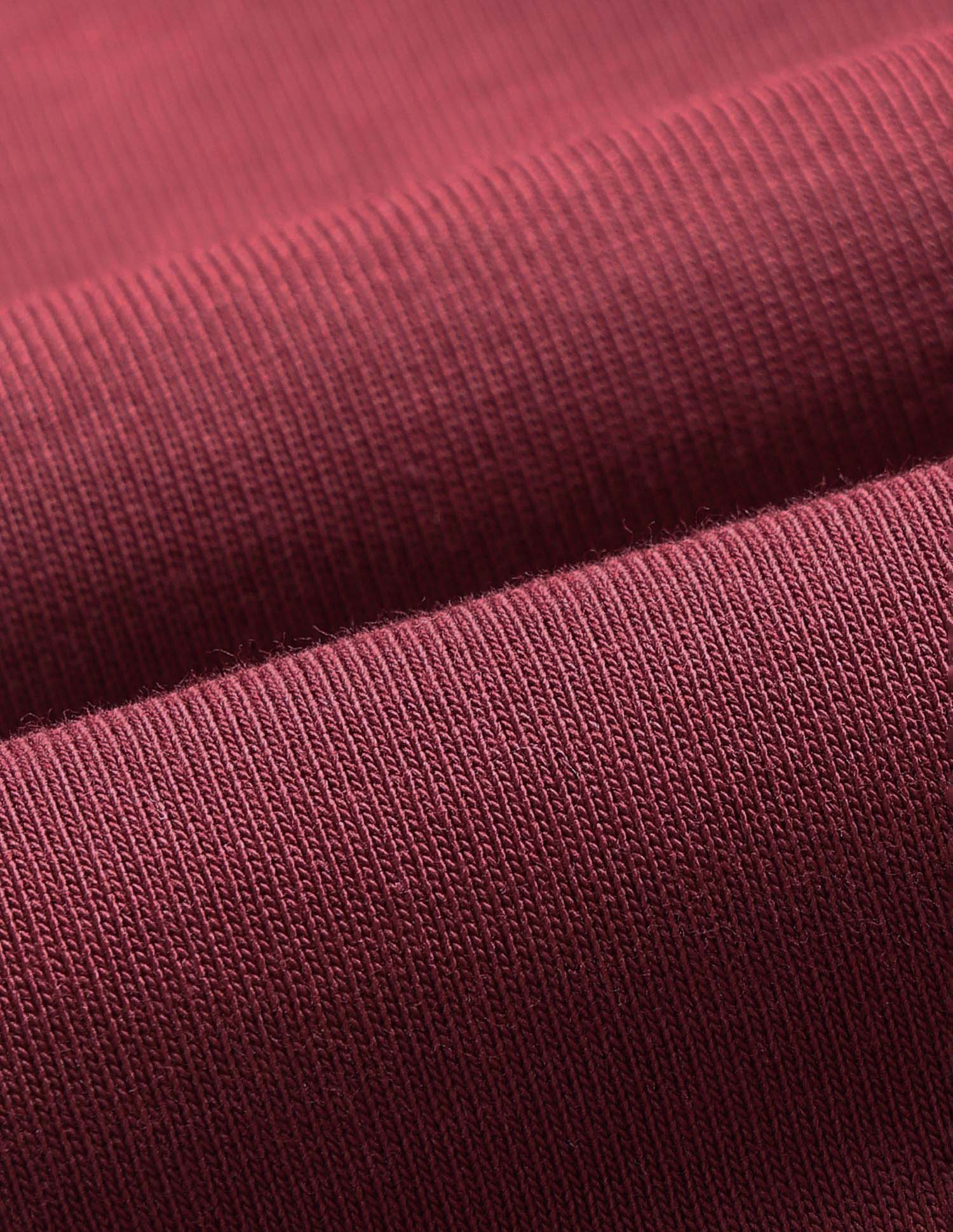 Solid Regular Fit Polo Shirt - Image 2