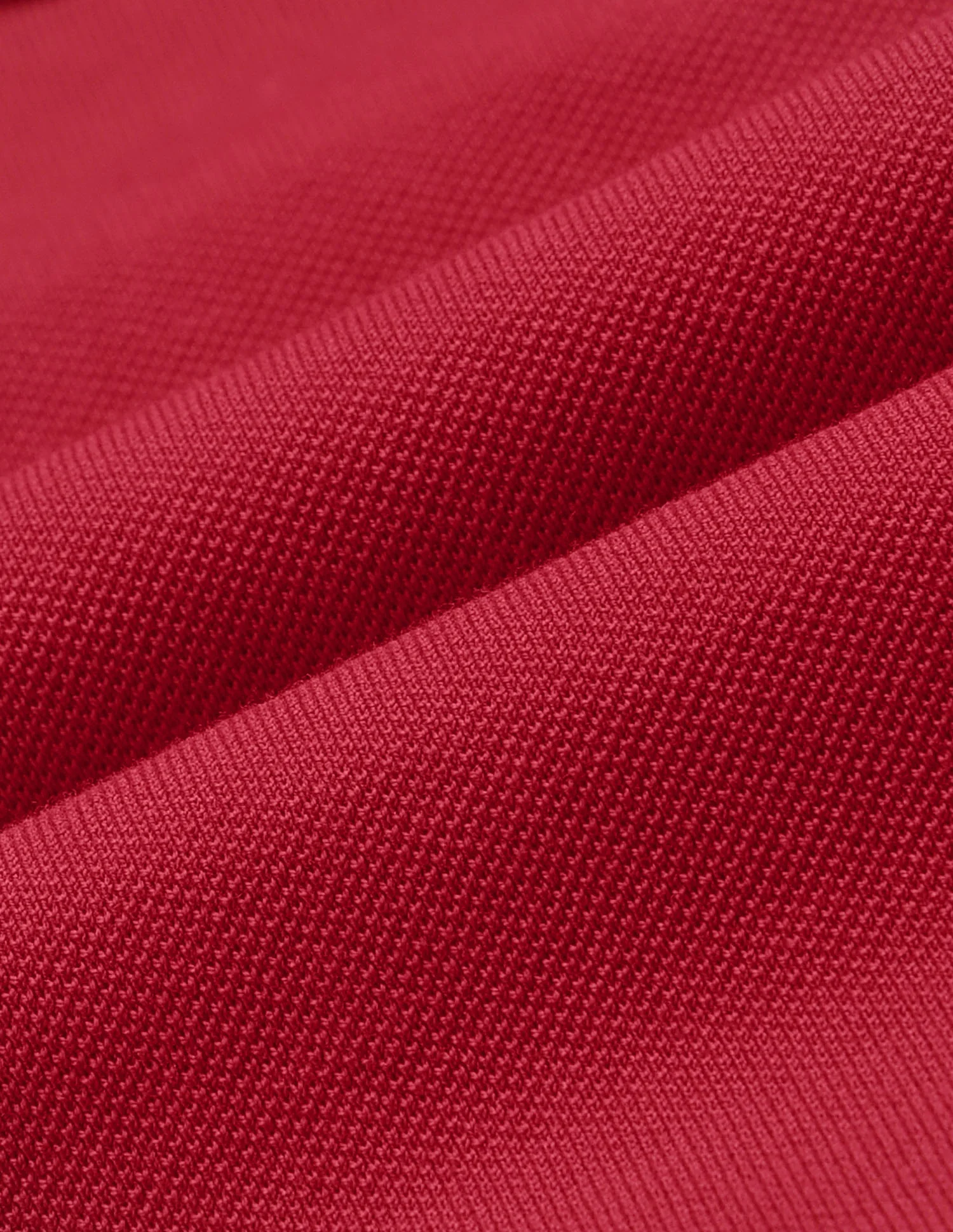 Solid Regular Fit Polo Shirt - Image 2