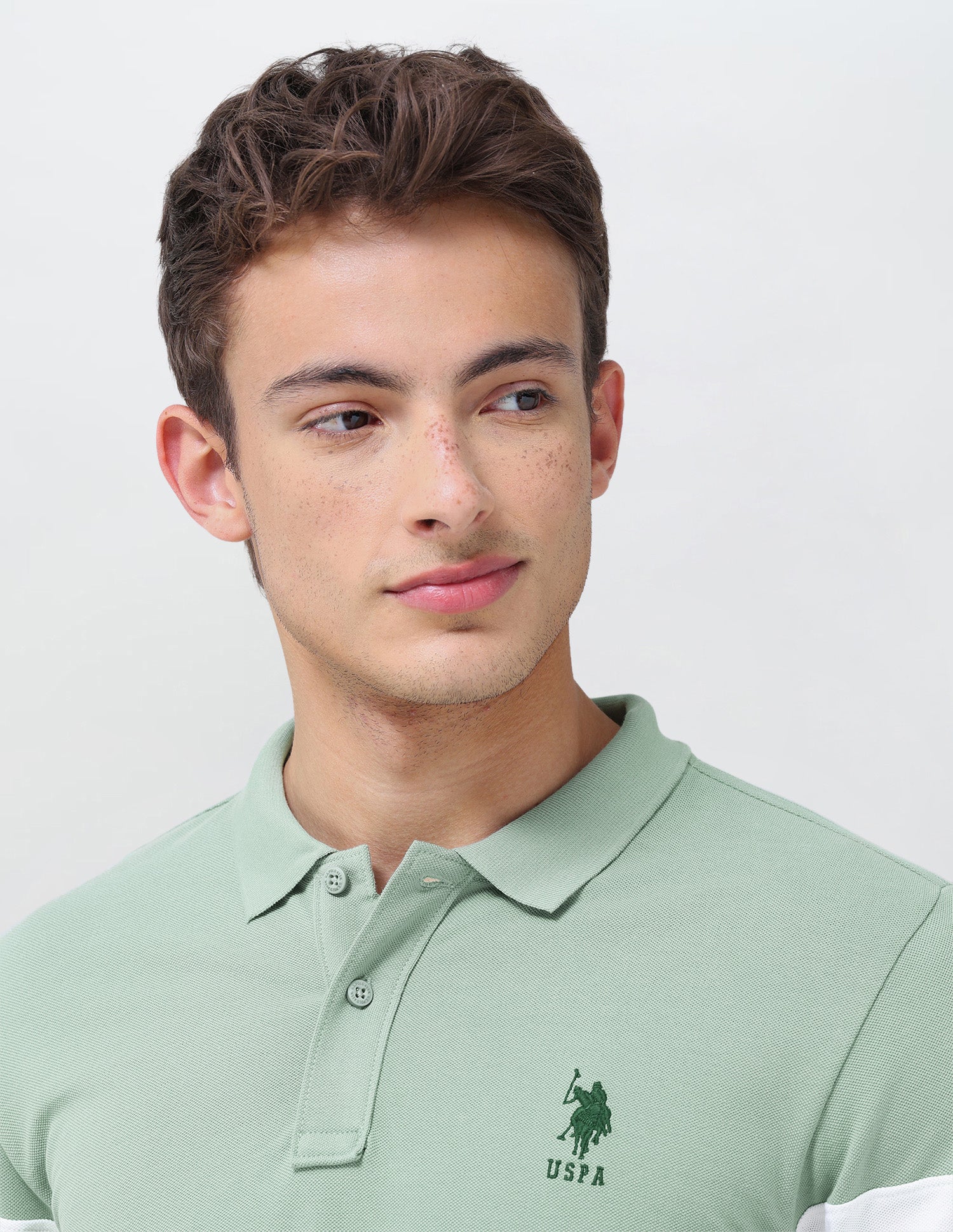 Solid Regular Fit Polo Shirt - Image 7