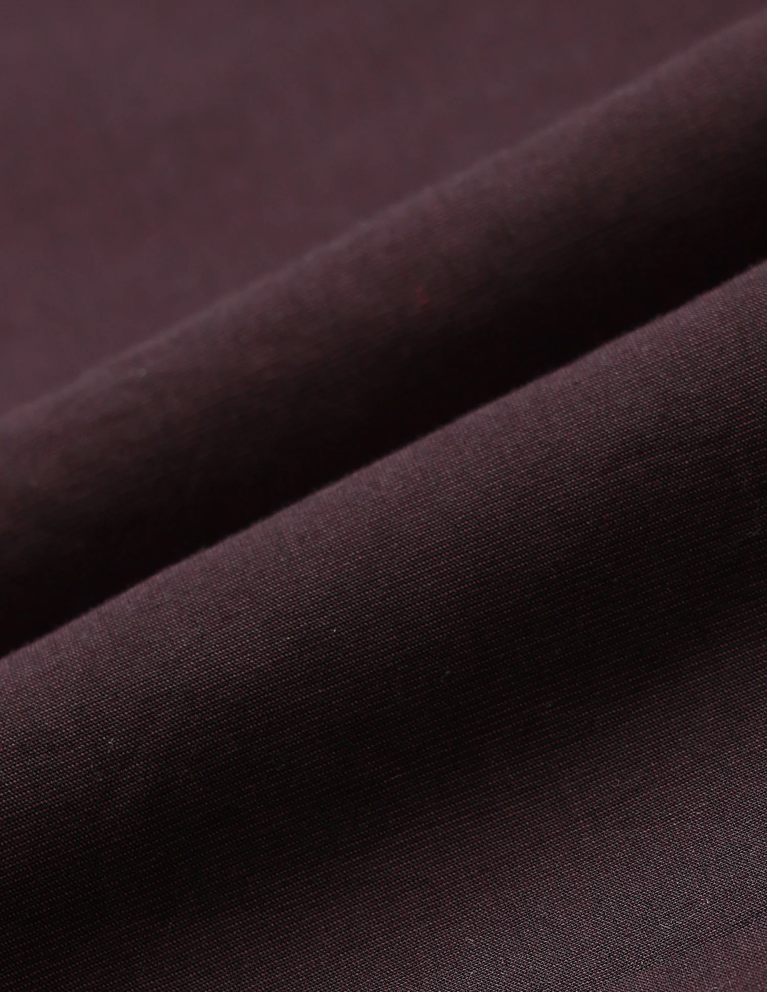Tailored Fit Pure Cotton Shirt - Image 2