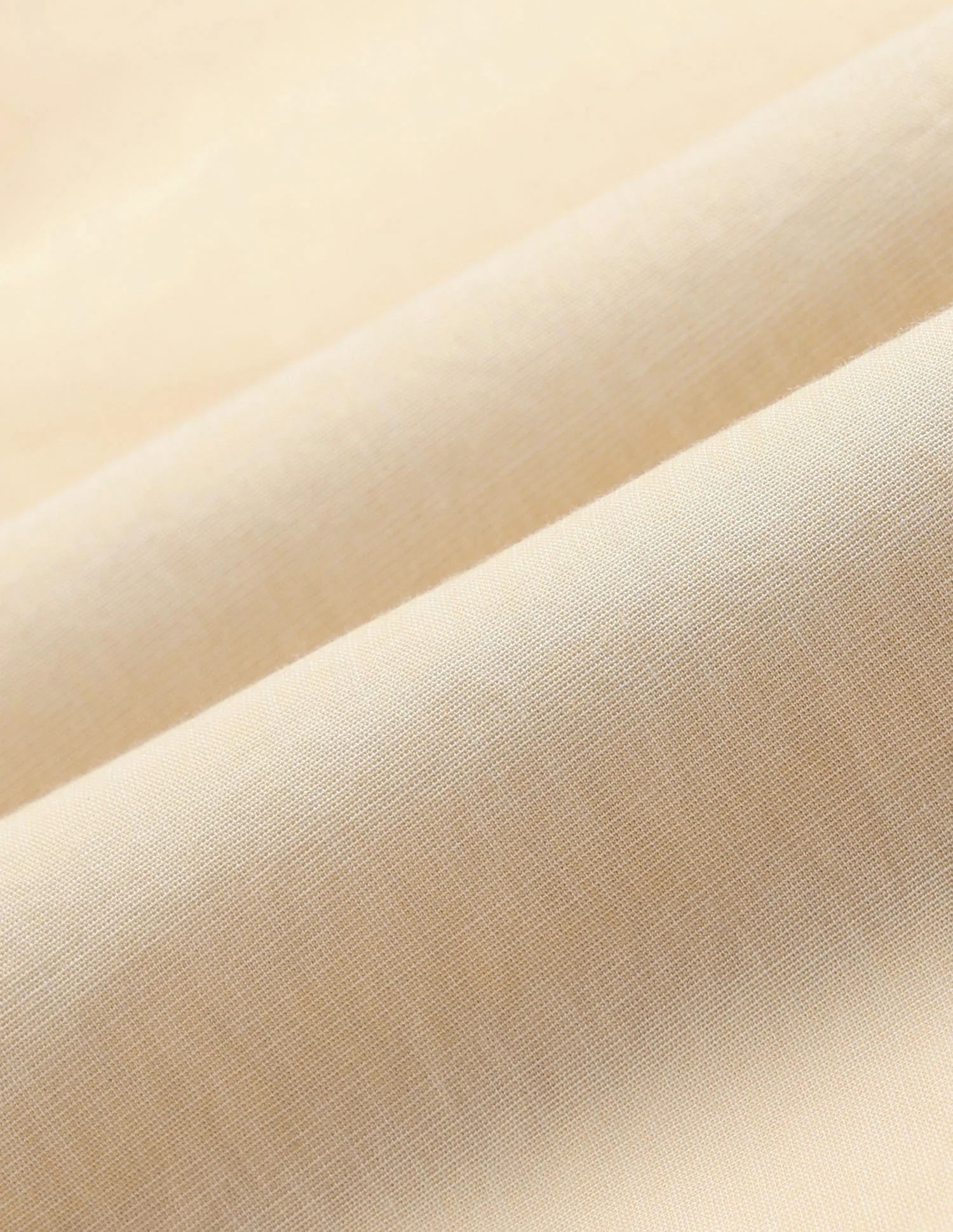 Tailored Fit Pure Cotton Shirt - Image 2