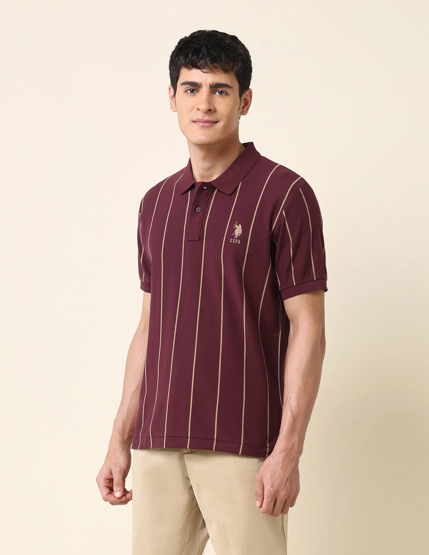 Vertical Striped Classic Polo Shirt - Image 4