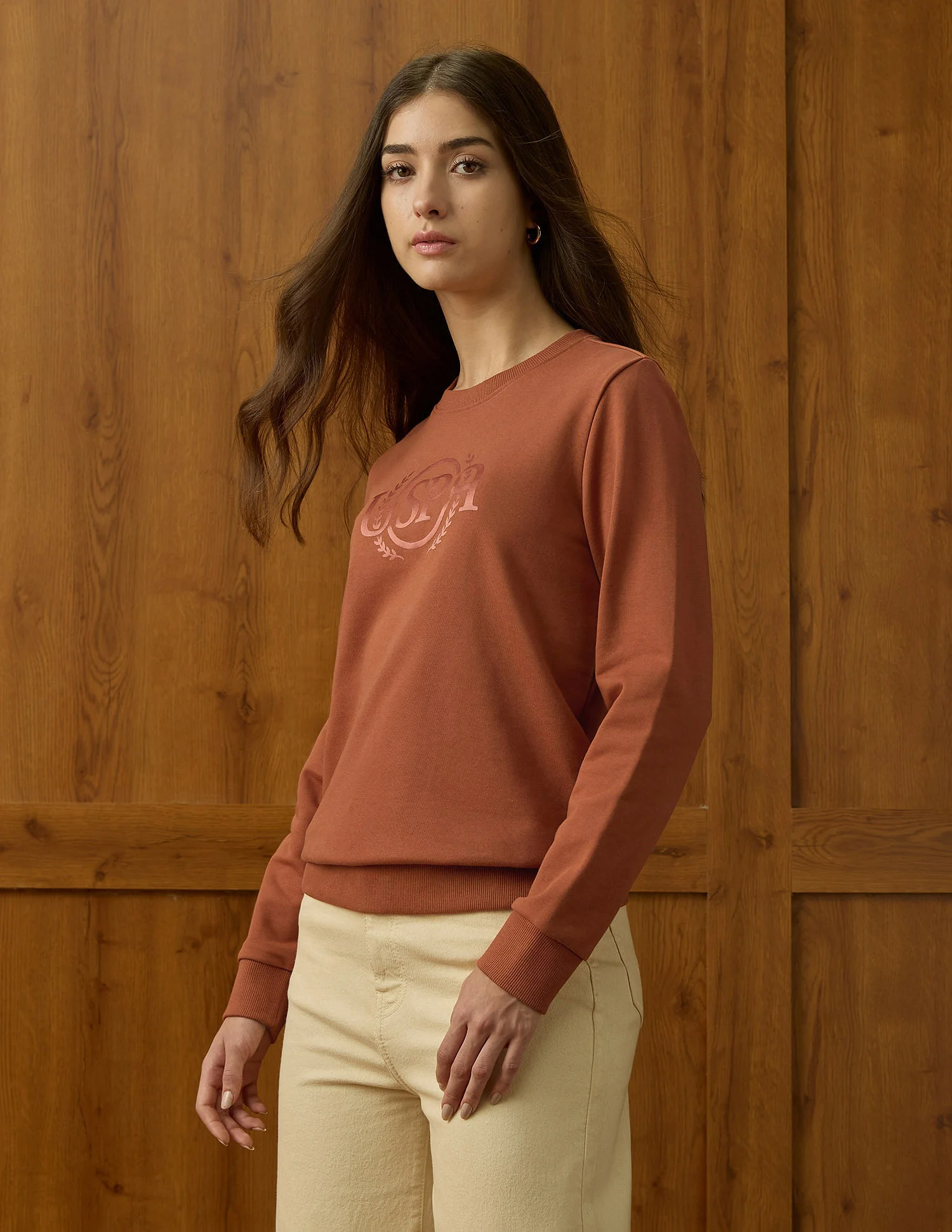 Brand Printed Regular Fit Sweatshirt - Image 4