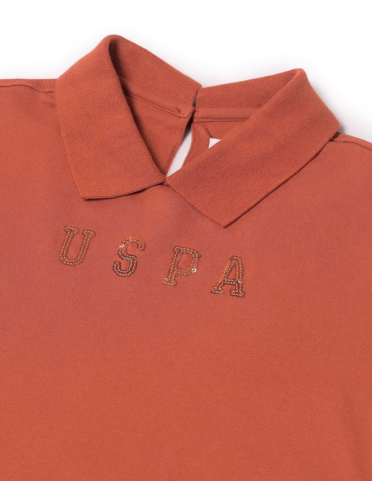 Brand Regular Fit Polo Shirt - Image 8