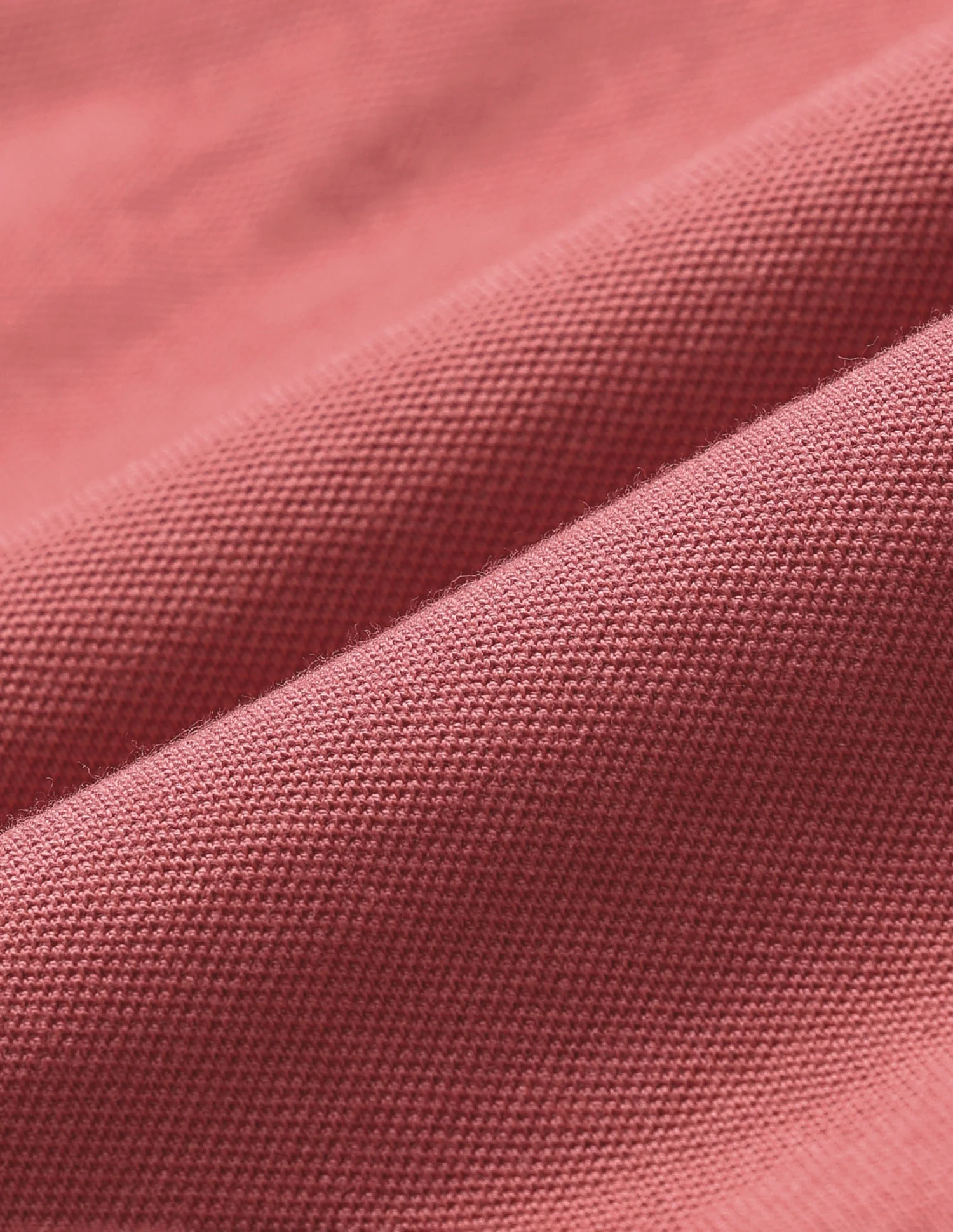 Contrast Placket Cotton Polo Shirt - Image 2