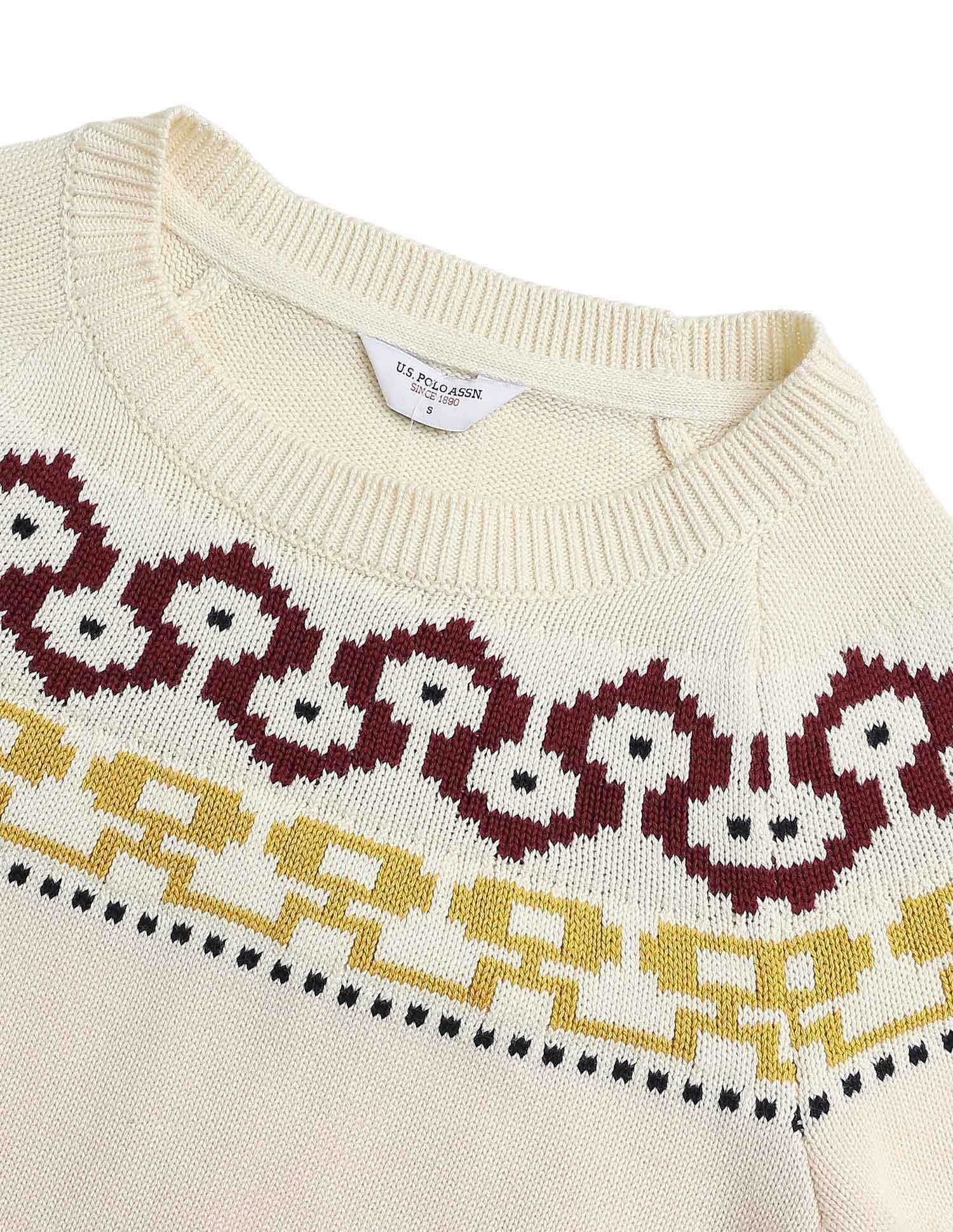 Patterned Knit Regular Fit Sweater - Image 9
