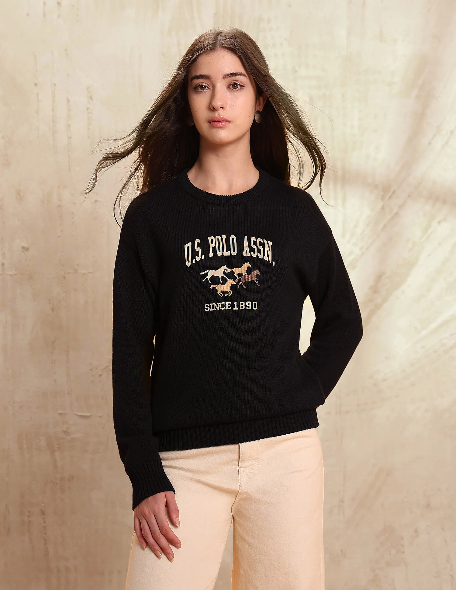 Regular Fit Brand Printed Sweater - Image 6