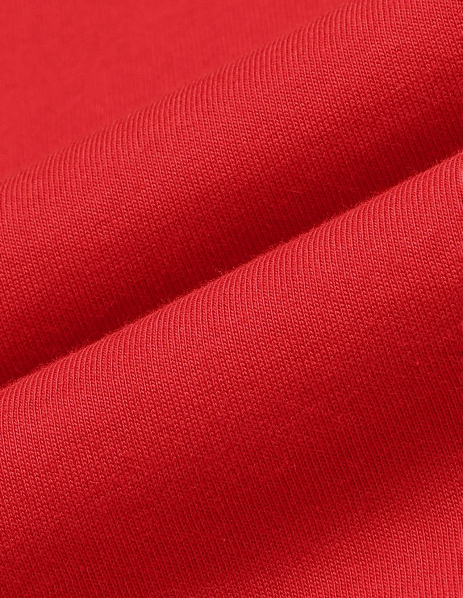 Regular Fit Brand Printed T-Shirt - Image 2