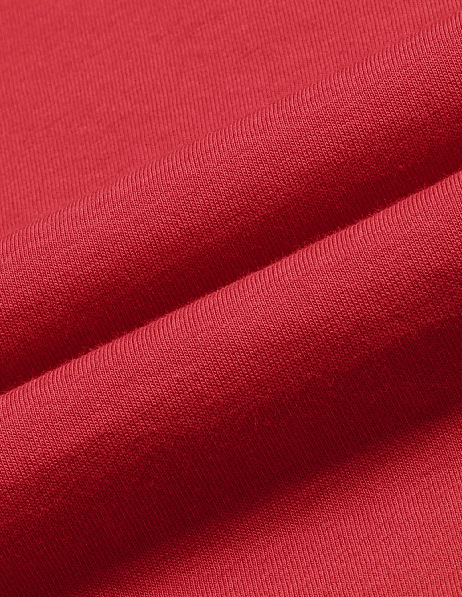 Regular Fit Brand Printed T-Shirt - Image 2