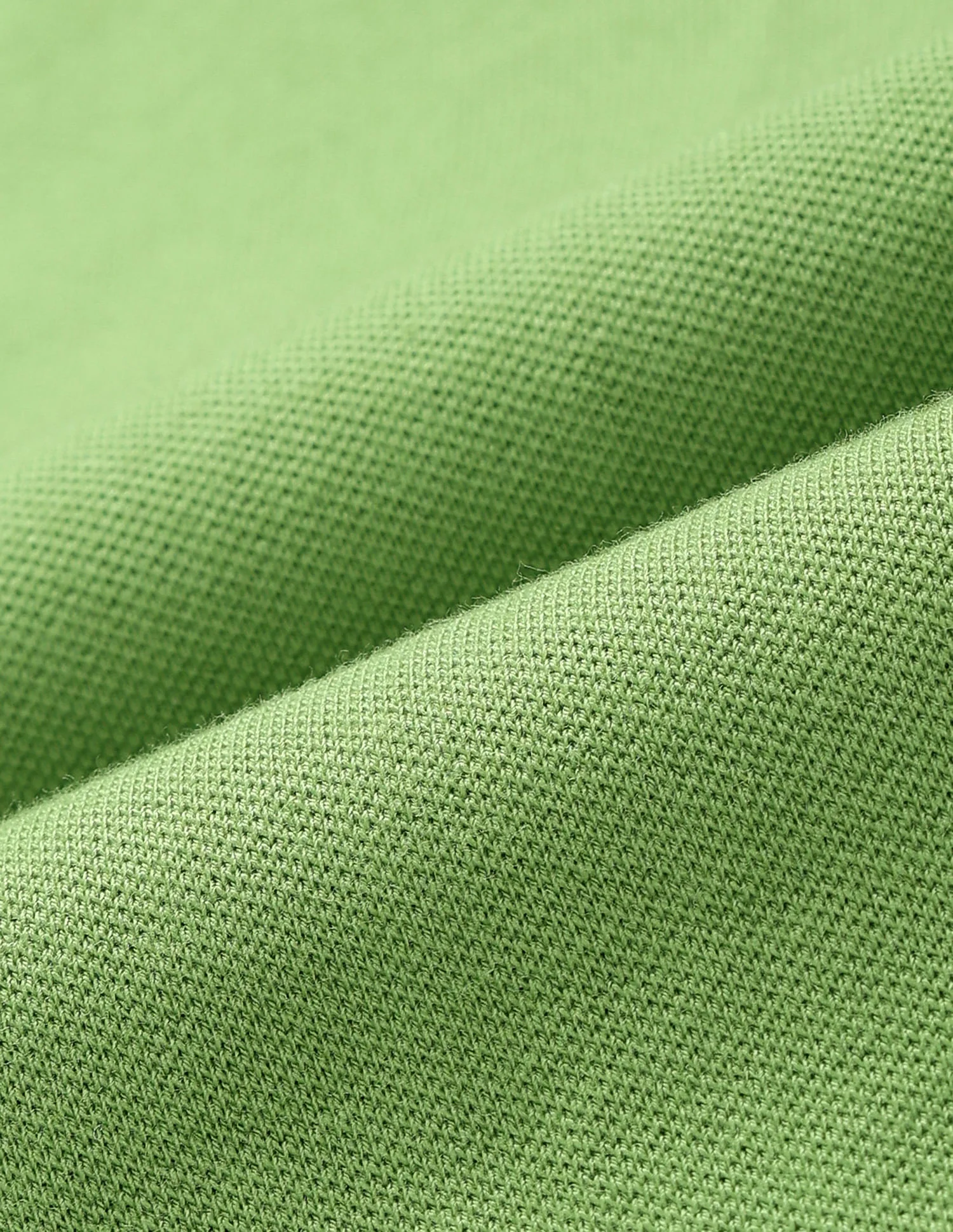 Regular Fit Cotton Polo Shirt - Image 2