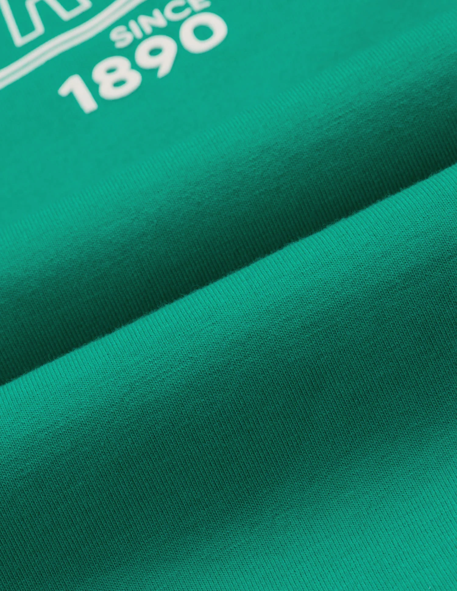 Shrunken Regular Fit T-Shirt - Image 2