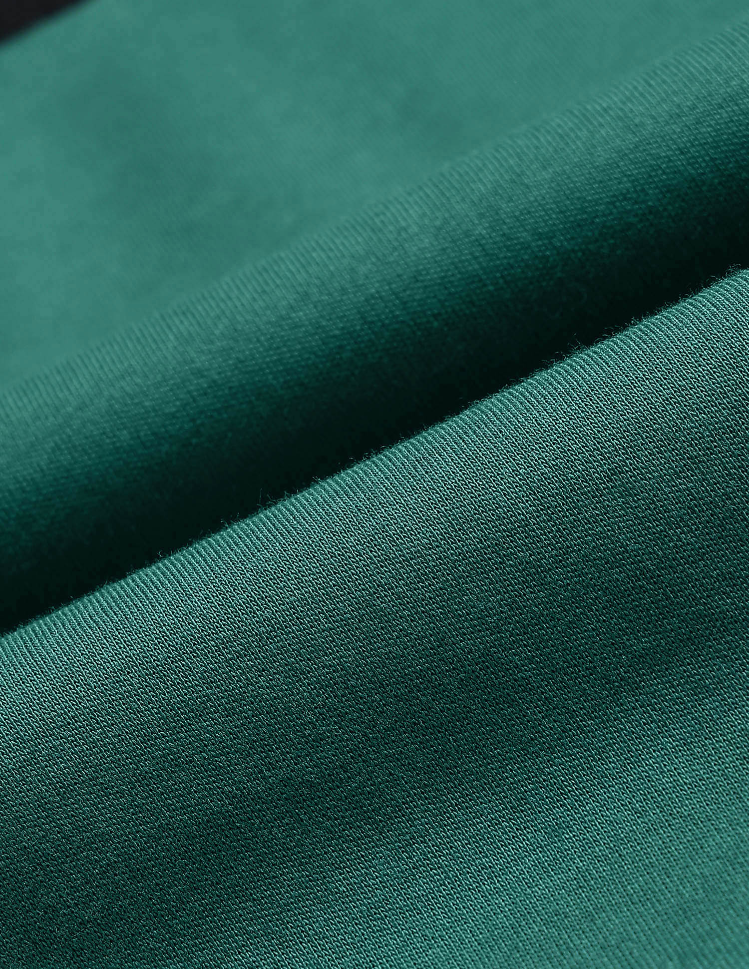 Solid Regular Fit Polo Shirt - Image 2