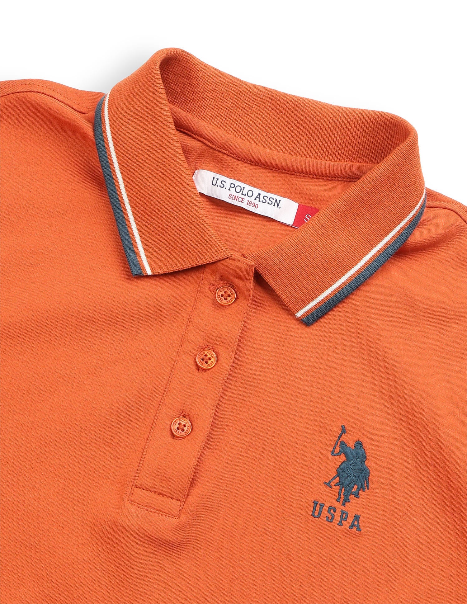 Solid Regular Fit Polo Shirt - Image 8