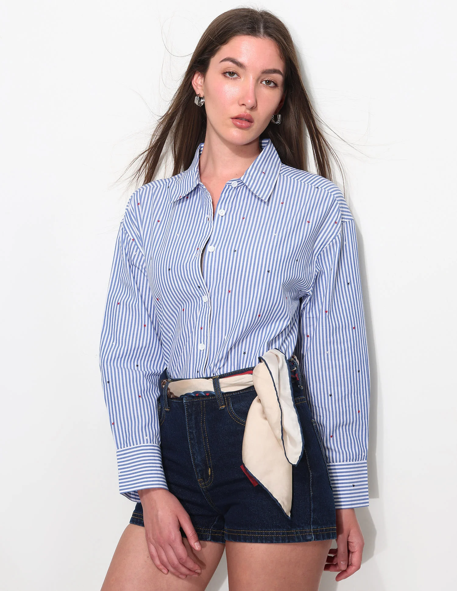 Vertical Striped Shirt With Embroidery - Image 2