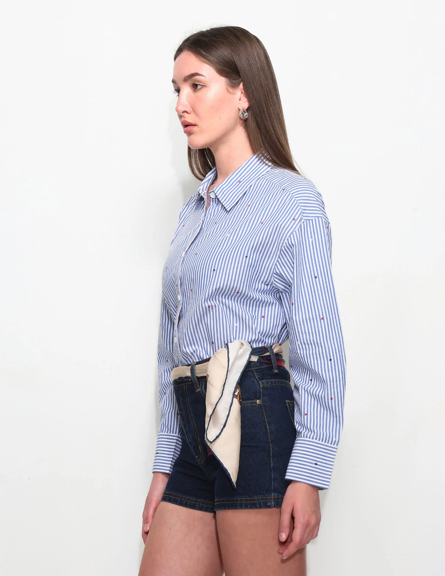 Vertical Striped Shirt With Embroidery - Image 5